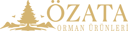 ÖZATA Orman Ürünleri - SAMSUN
